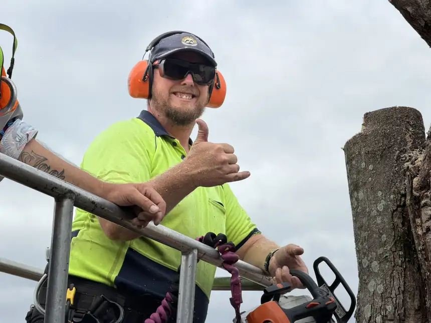 Dan's Tree Experts crew member in hi-vis and ear protection on a tree job