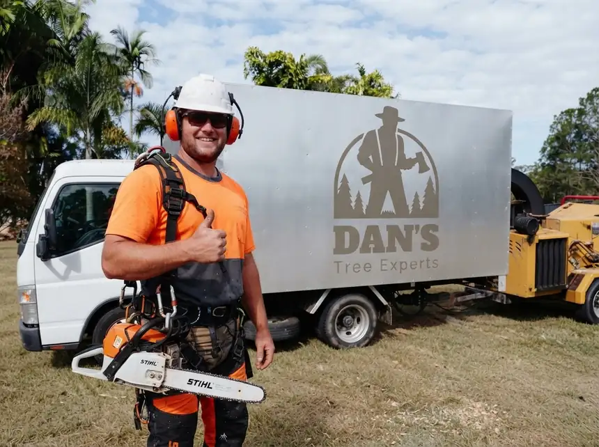 Qualified arborist from Dan's Tree Experts with a STIHL chainsaw and climbing harness