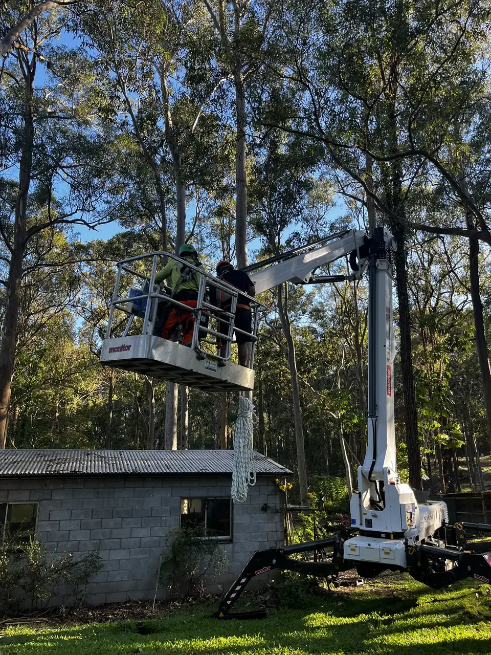 Spider lift set up on an acreage block for a tree removal
